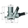 Thermostat, liqiuide de refroidissement MAHLE, par ex. pour Fiat, Lancia, Ford