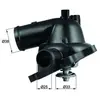 Mahle Thermostat, liqiuide de refroidissement BEHR TM2395