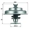 Mahle Thermostat, liqiuide de refroidissement BEHR TX7580D