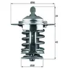 Générique Behr Thermot-Tronik TX 70 82 Thermostat d'eau