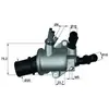MAHLE Original Générique Behr Thermot-Tronik TI 143 88 Thermostat d'eau