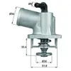 MAHLE Aftermarket Thermostat d'eau pour OPEL: Astra, Zafira & VAUXHALL: Astra, Zafira (Ref: TI 55 92D)