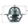Mahle Thermostat, liqiuide de refroidissement BEHR TX8882D