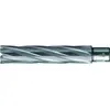 FP - Foret trépan hke-l Weldon hm extralong 38/110 mm bds
