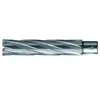 Foret trépan HKE-L Weldon HM extralong 28/110 mm BDS
