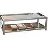 LOBERON Table basse Clayton, argenté/transparent (60 x 130 x 40cm)