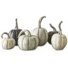LOBERON Lot de 6 citrouilles déco Yokane, crème/vert/noir (11cm)