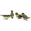 LOBERON Lot de 4 oiseaux décoratifs Pompaire, multicolore (3.5 x 9 x 5.5cm)