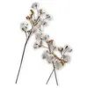 LOBERON Lot de 3 tiges Sauves, blanc (8 x 18 x 72cm)
