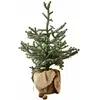 LOBERON Sapin décoratif Glenda, vert (70cm)