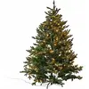 LOBERON Sapin de Noël Franck, vert (180cm)
