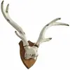 LOBERON Bois de cerf décoratifs Talim, blanc (13 x 70 x 53cm)