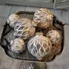 Lot de 6 boules de Noël Lunagh
