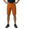 Ortovox Pelmo Shorts - Short randonnée homme Bristle Brown M