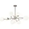 Maytoni Lustre Erich, couleur nickel Verre/métal à 12 lampes