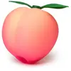 Stimulateur clitoridien ROMP Pink Peach