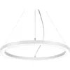 BRUMBERG Biro Circle Ring5 direct Ø 60 cm DALI, blanc