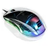 Souris de jeu Endgame Gear XM1 RVB 16 000 DPI Dark Reflex