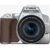 Reflex Canon EOS 250D Argent + Objectif EF-S 18-55 mm f/4-5.6 IS STM