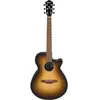 Ibanez AEG50-DHH Dark Honey Burst Guitare Jumbo acoustique-électrique