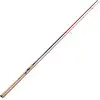 Tenryu Canne Spinning Injection