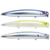 Blue Blue AIZER125F #01 Blue Blue