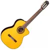 Guitares Electro-Acoustiques TAKAMINE - GC5CE-NAT