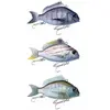 Little Jack Stickbait Coulant Charikom 75 Mm