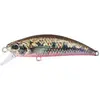 Poisson Nageur Duo international Spearhead Ryuki 50 SK : Coloris Duo - 4084 - Gold Yamame