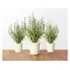 Recharge triple de Thym pour Smart Garden - Click and Grow