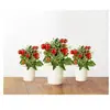 EMSA Lot de 3 Capsules mini tomates Click&Grow
