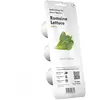 Recharge Emsa Click and Grow Pack 3 capsules Laitue verte