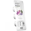 Click And Grow - emsa click & grow semence de fleur petunia (M5261400)