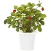 Recharge triple de Fraises des bois pour Smart Garden - Click and Grow