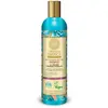 Natura Siberica - Shampoing à l'Argousier Cheveux Normaux à Gras 400ml