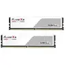 G.Skill F5-6000J3636F32GX2-FX5W, Mémoire vive