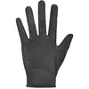 Giant Gants Transfer