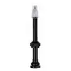 Paire de valves tubeless Vision 60mm e0706a TU