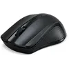 Acer Souris Optique Sans Fil NP.MCE11.00T Noir 1600 dpi TU