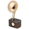 Sangean WR-45X Gold Radio de table FM AUX, Bluetooth rechargeable noir, or