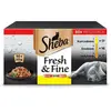 Sheba 50 x 50& g au poulet, à la volaille et à la dinde en sauce