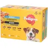 12x100g Multipack Pedigree volaille en sauce - Pâtée pour chien