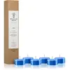 Smells Like Spells Norse Magic Thor bougie chauffe-plat (concentration...