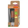 OSRAM ampoule rustique LED E27, ST64, 3,8 W, 806 lm, 830, claire