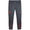 Puma Pantalon de survêtement Trainning Manchester City 2023/24 Gris M 772864-16