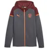 Puma Sweat à capuche Manchester City FC gris XS