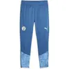 Puma Pantalon de survêtement d’entraînement 23/24 Manchester City bleu S