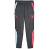Puma Survetements Puma Mcfc Prem Wov Pnt