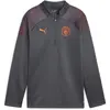 Puma Sweatshirt Training Manchester City 2023/24 gris 8 ans