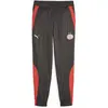 Puma Jogging Psv Eindhoven Stadium 2023/24 noir S